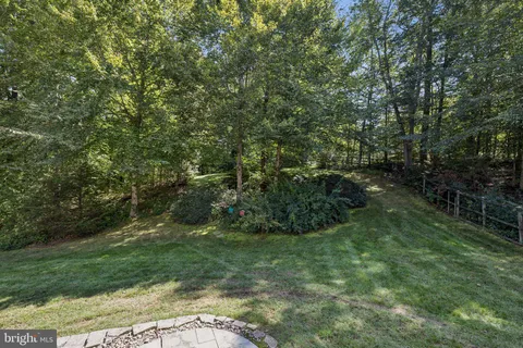 a view of a lush green space