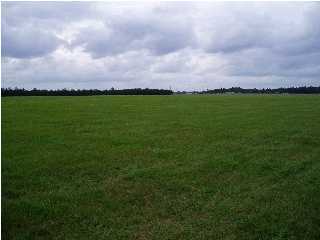 6204 Garden City Road Crestview, FL 32539 - Photo 2 of 2 a view of yard with grass and a yard