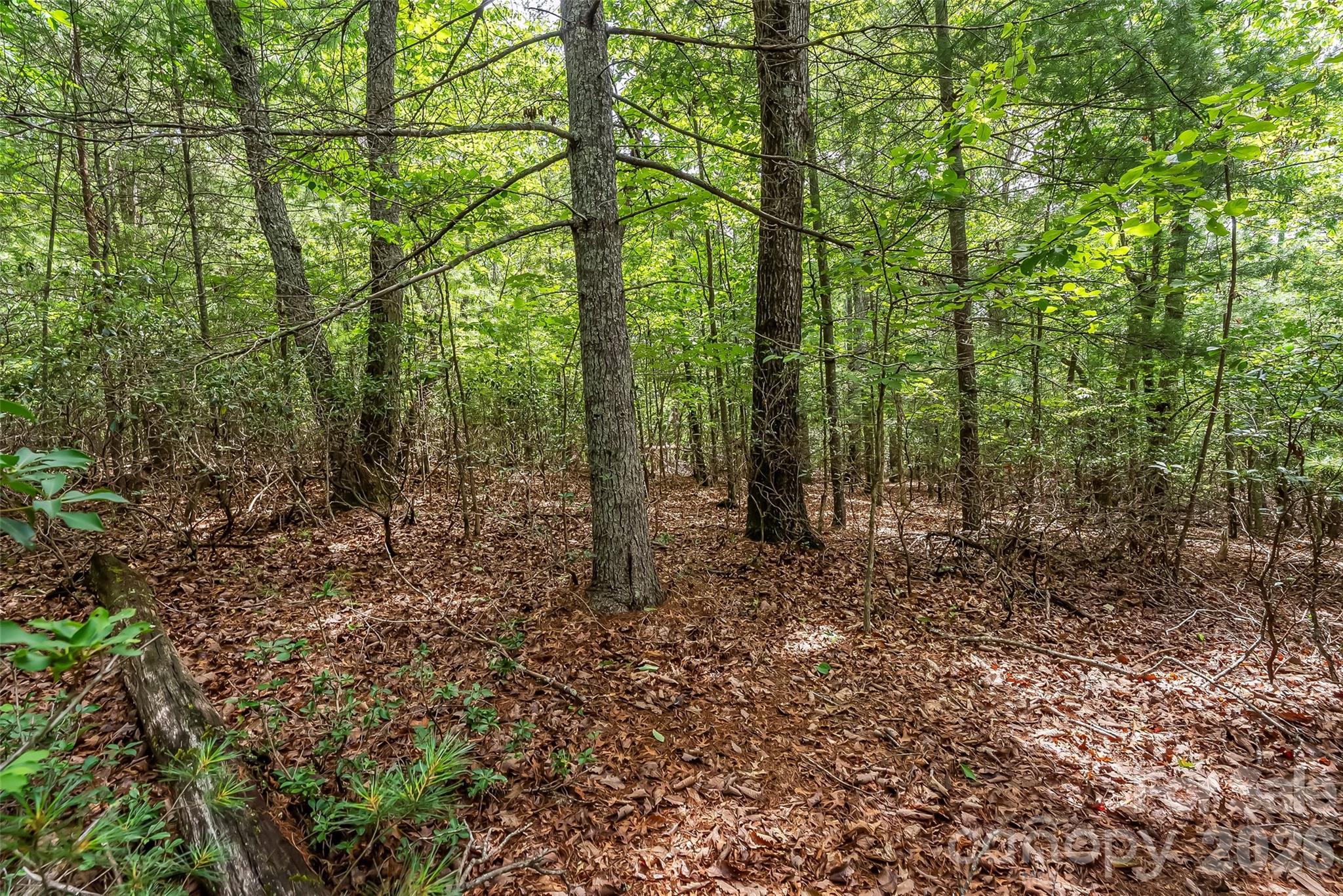 2040 Hampson Road Morganton, NC 28655 - Photo 8 of 14