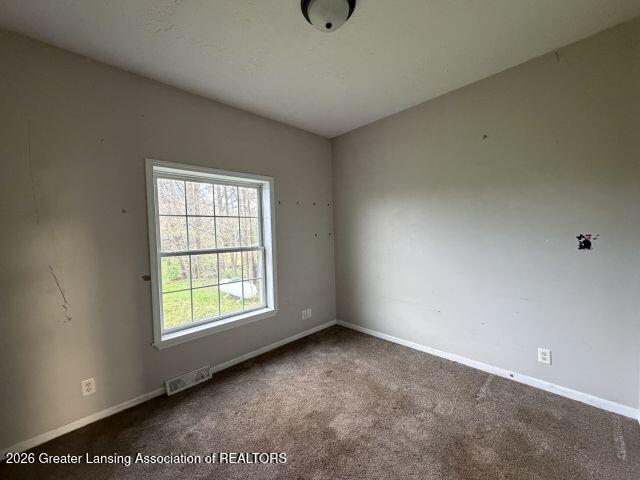 9503 Babcock Road Bellevue, MI 49021 - Photo 25 of 34 IMG_0692