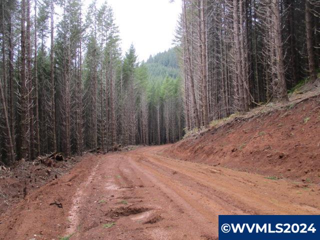 0 Quartzville Road Cascadia, OR 97329 - Photo 10 of 10