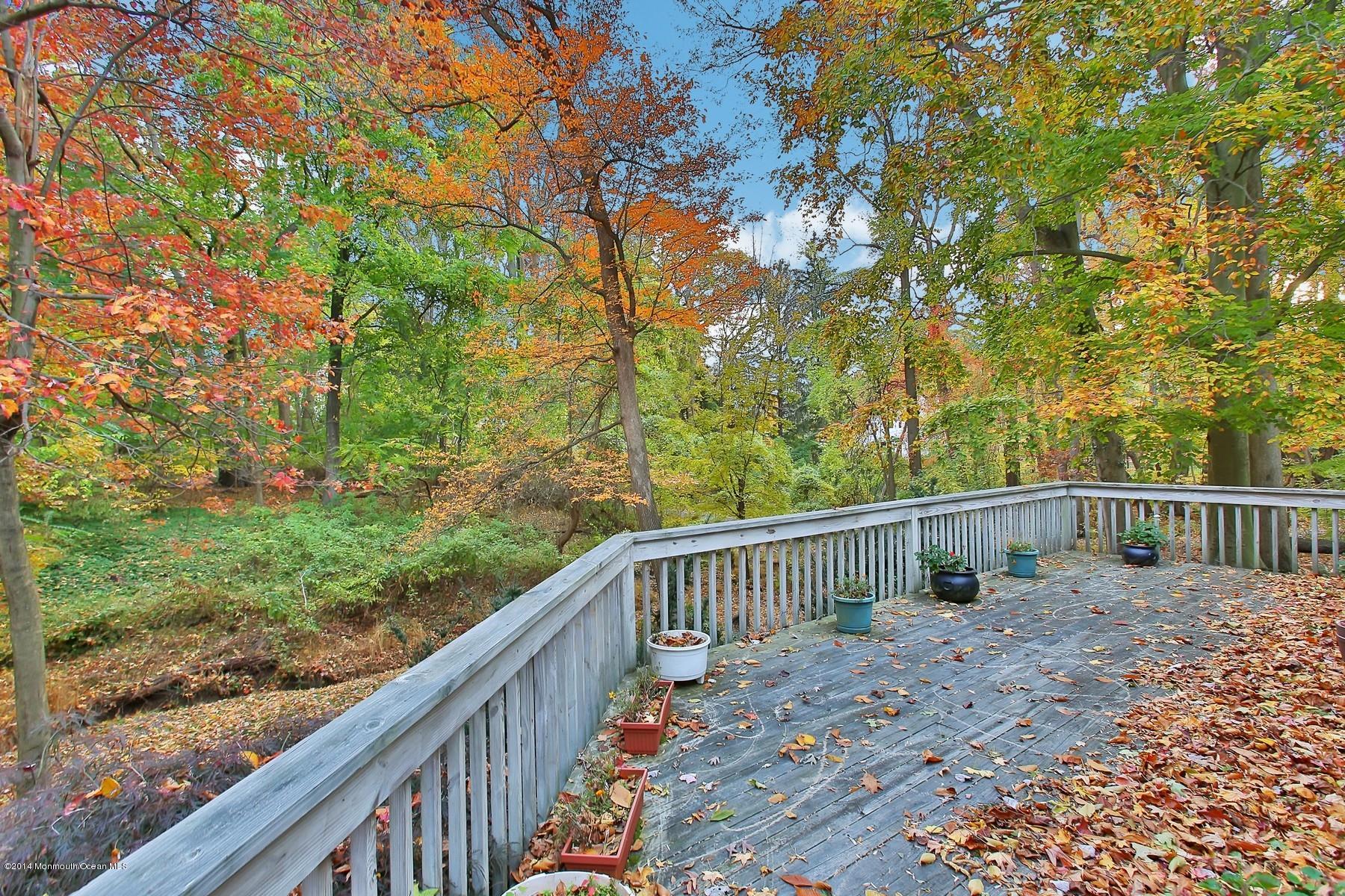 155 Ridge Road Rumson, NJ 07760 - Photo 27 of 33 Yard View From The Deck