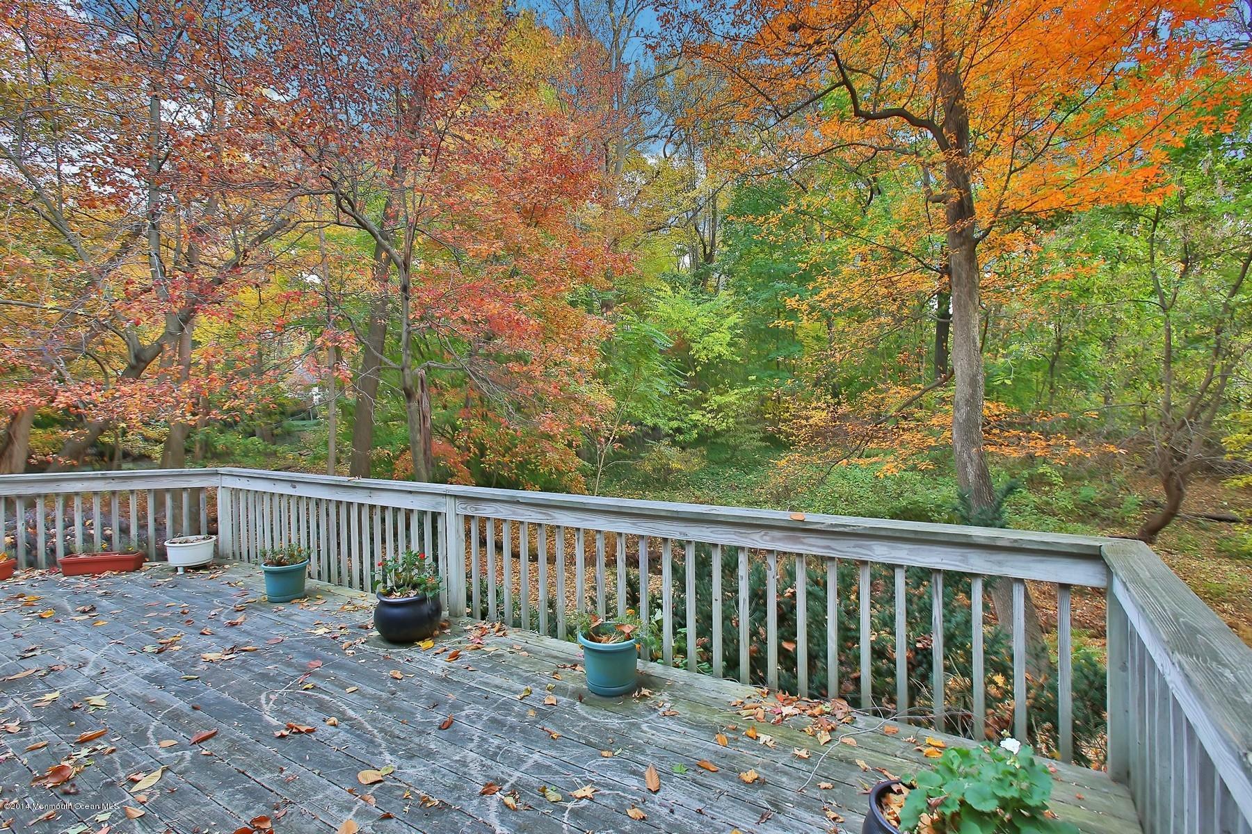 155 Ridge Road Rumson, NJ 07760 - Photo 28 of 33 Yard View From The Deck