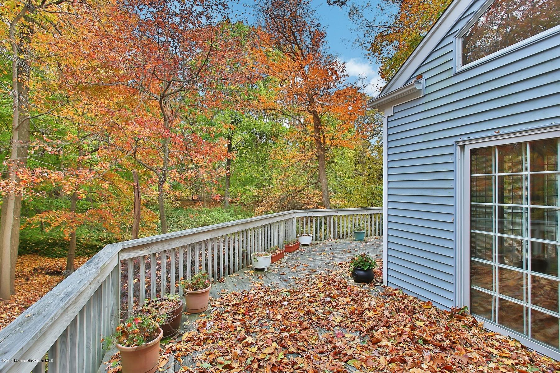 155 Ridge Road Rumson, NJ 07760 - Photo 29 of 33 Yard View From The Deck