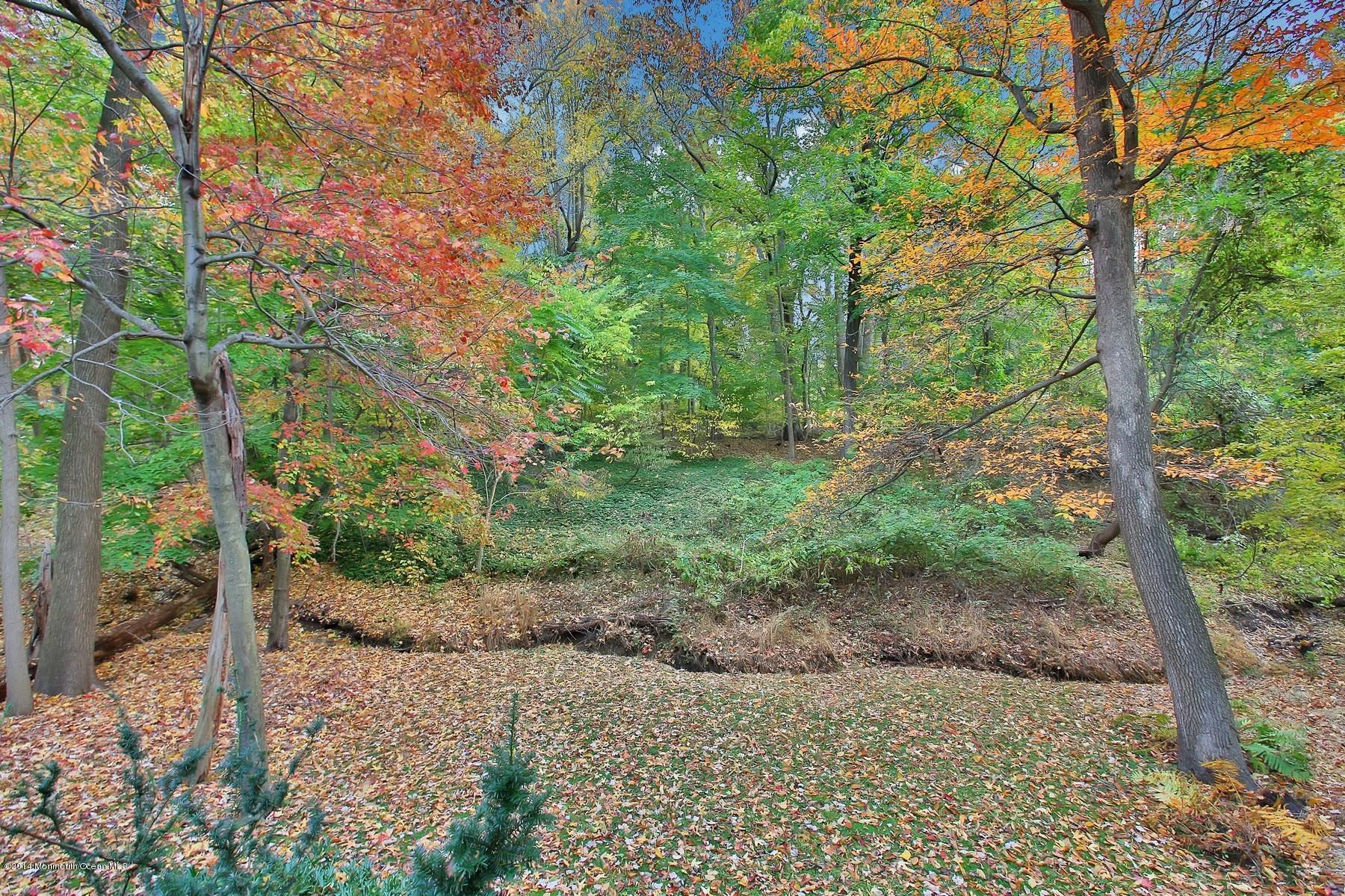 155 Ridge Road Rumson, NJ 07760 - Photo 32 of 33 Nature Abounds