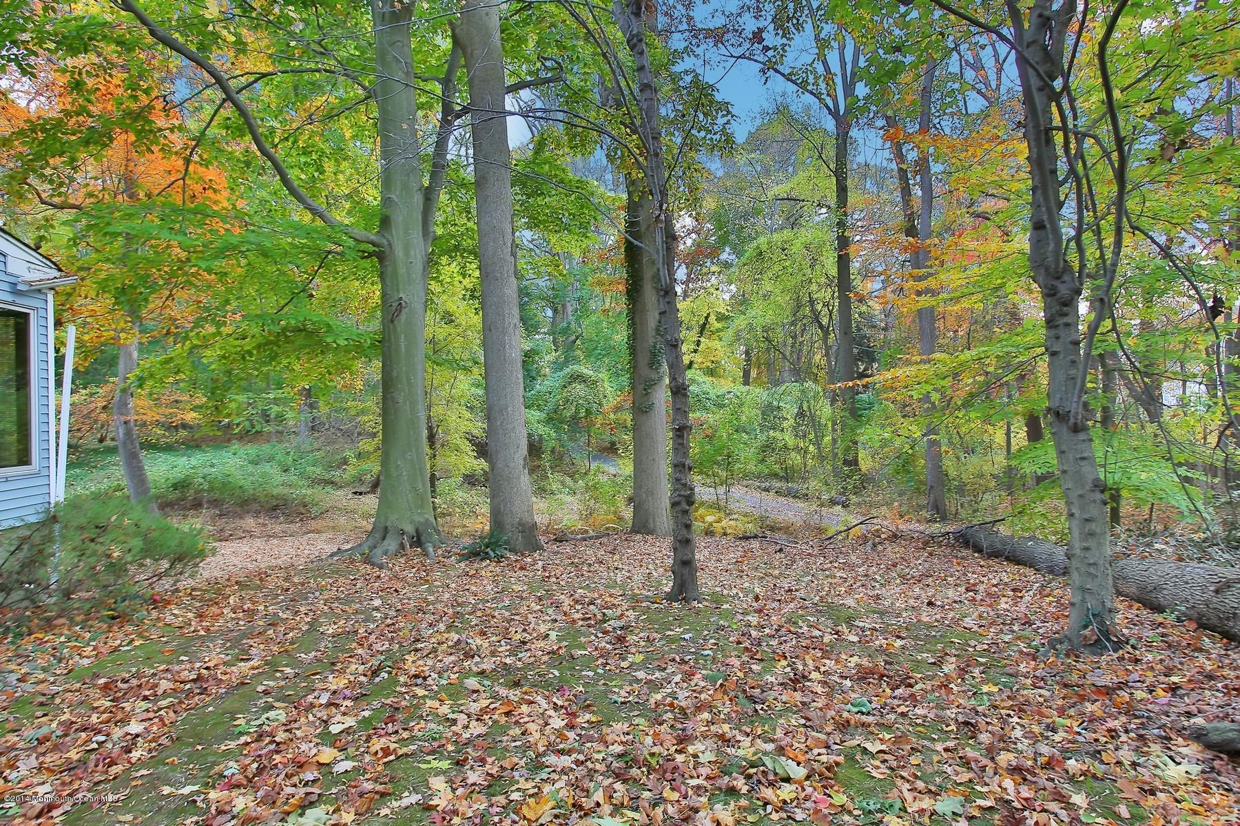 155 Ridge Road Rumson, NJ 07760 - Photo 33 of 33 You'll Enjoy The Quiet!