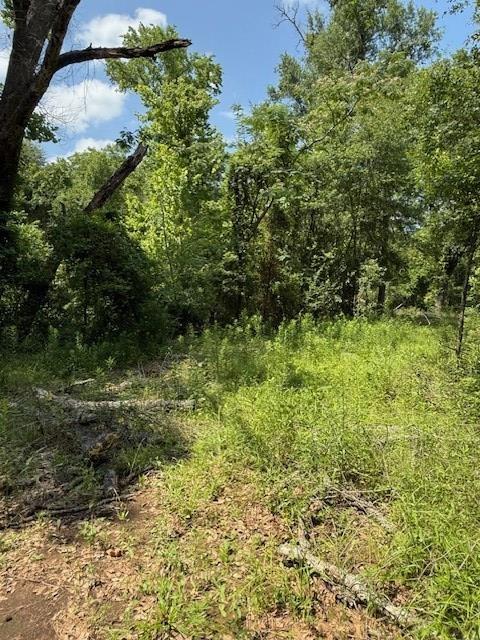 119 Kickapoo Street Palestine, TX 75803 - Photo 14 of 14 a view of outdoor space and garden
