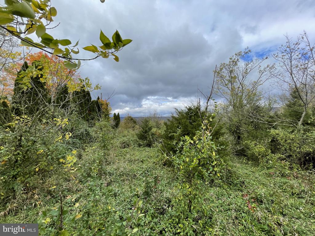 152 Mohawk Road Newville, PA 17241 - Photo 3 of 16