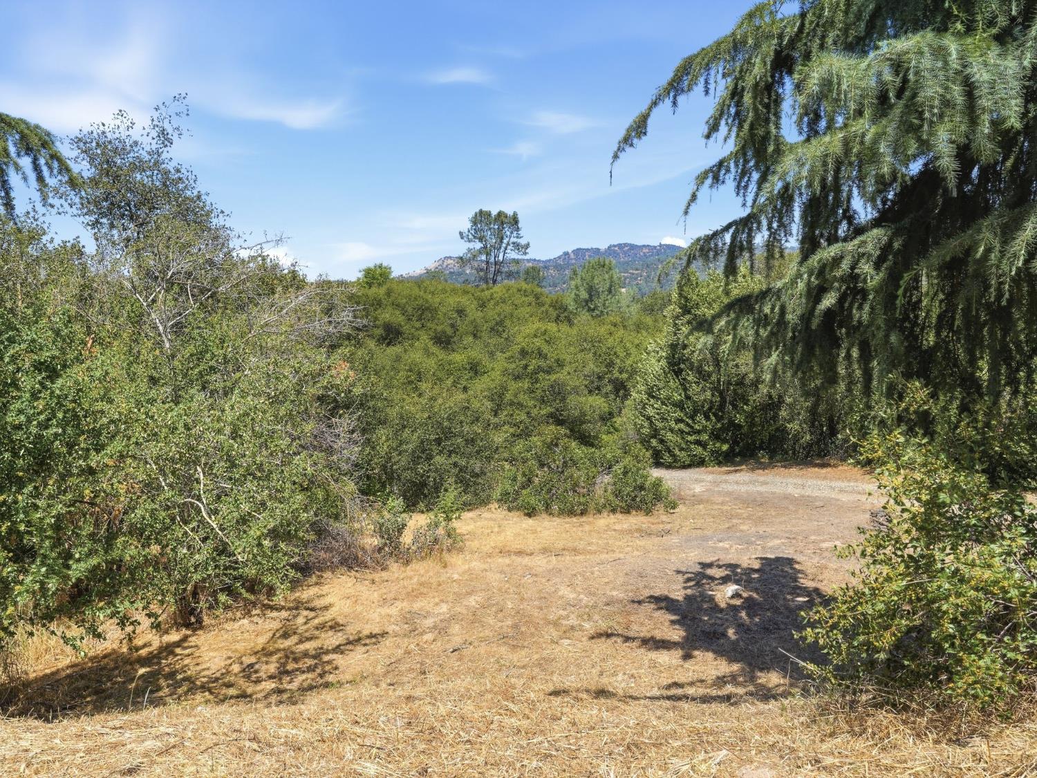 31490 Kennedy Road Coarsegold, CA 93614 - Photo 82 of 94