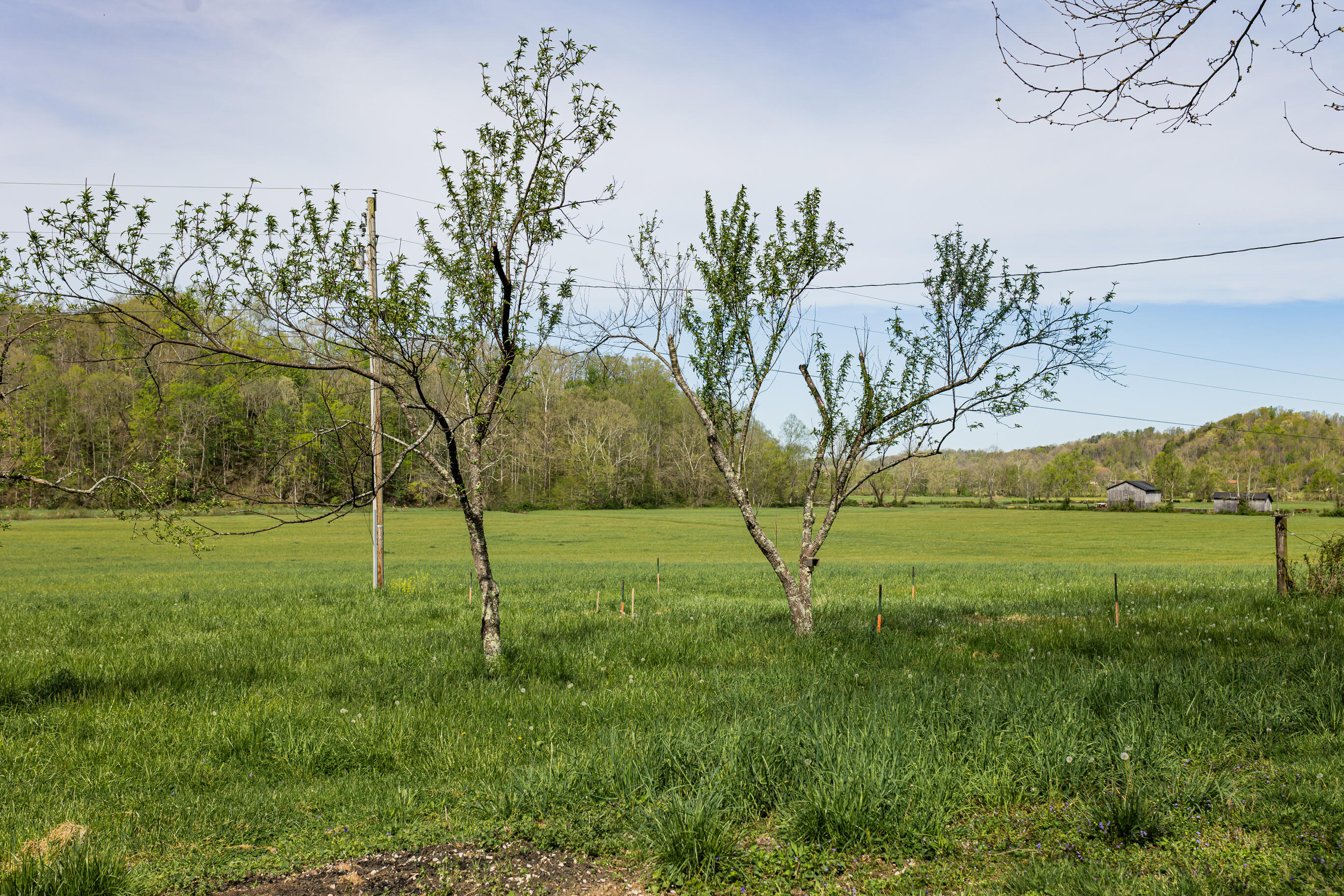 534 Lower Gilmore Road Campton, KY 41301 - Photo 42 of 80 FO7A1591