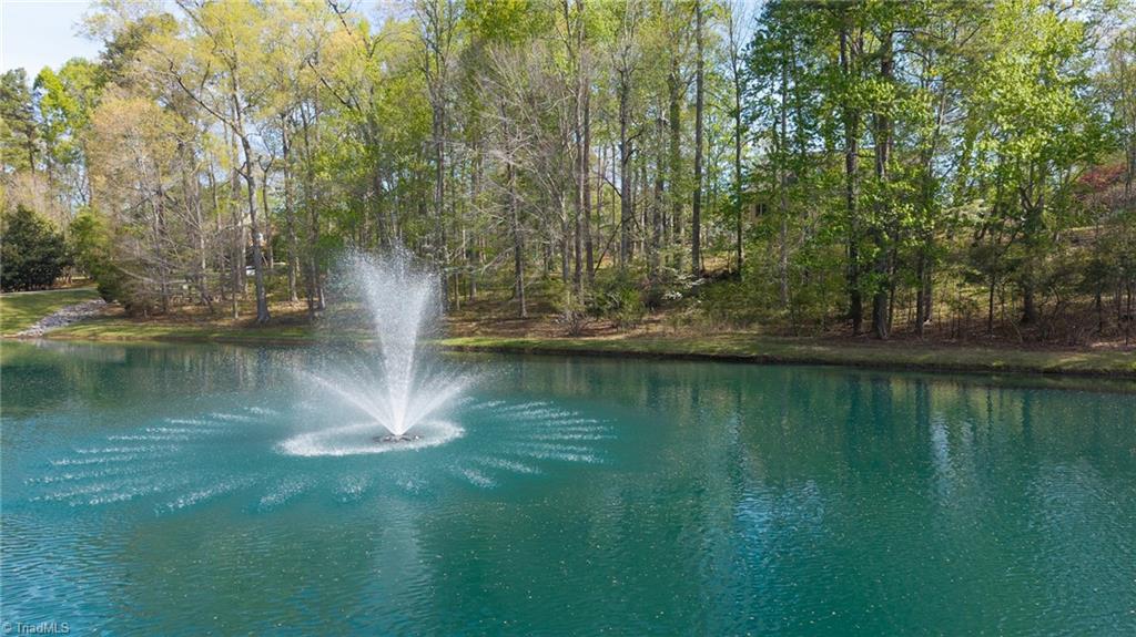 6699 Fegan Road Summerfield, NC 27358 - Photo 50 of 50