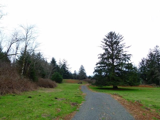 Tl#1008 Bel Air Road Cloverdale, OR 97112 - Photo 17 of 20 P1080397