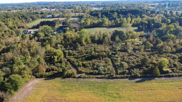 $169,000 | Tbd North Mill Road, Dryden, MI 48428