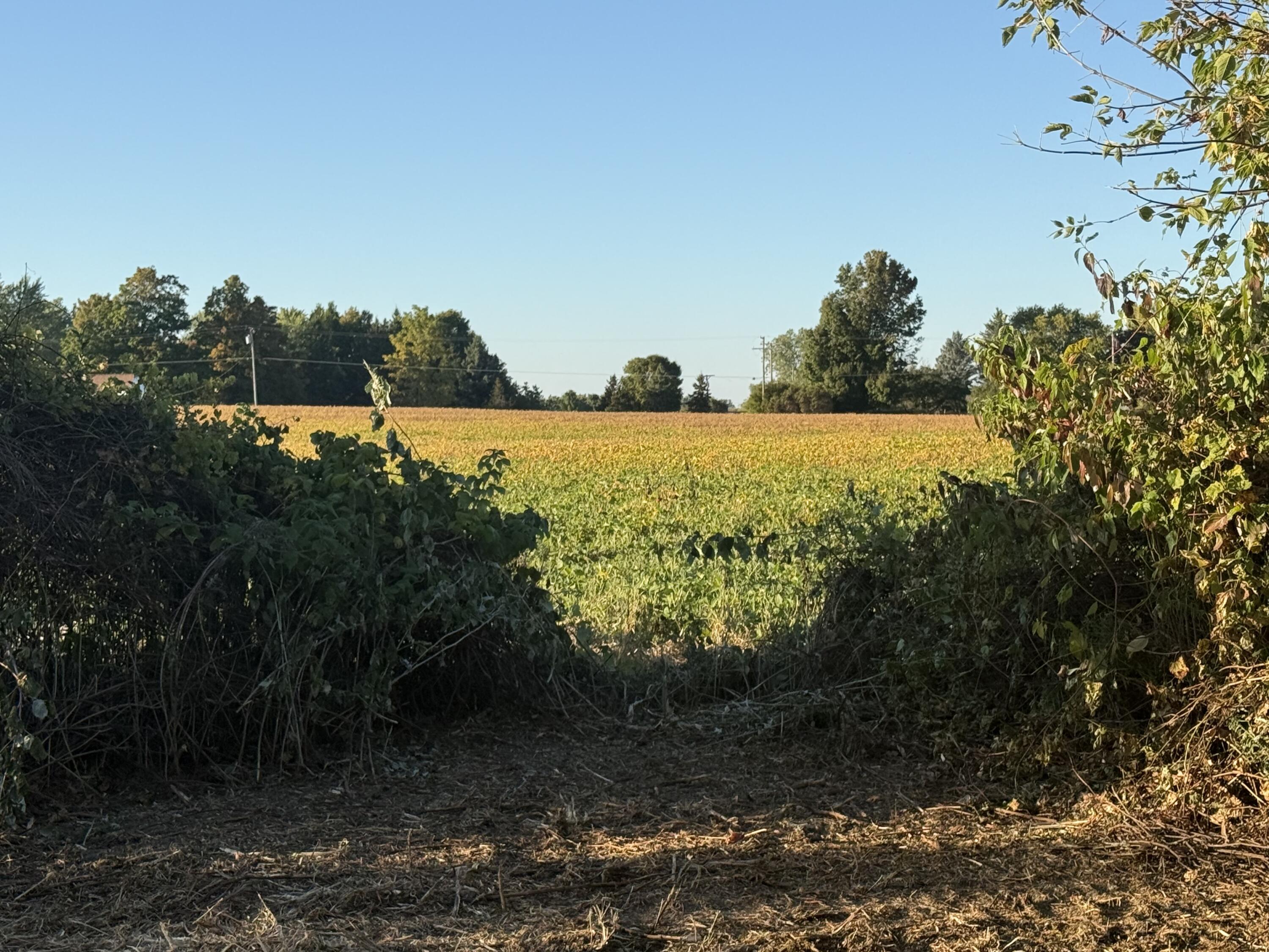 Tbd North Mill Road Dryden, MI 48428 - Photo 6 of 12 IMG_2253