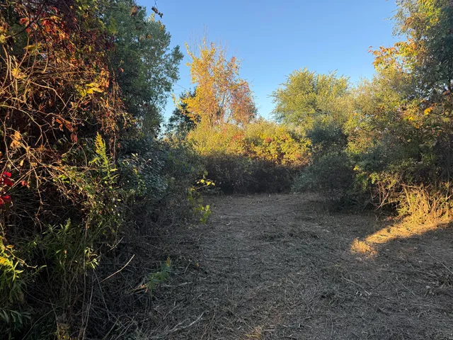 $169,000 | Tbd North Mill Road, Dryden, MI 48428