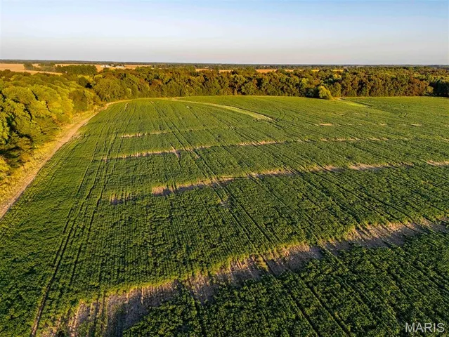 $6,162,722 | 0 Highway V Highway, Vandalia, MO 63382