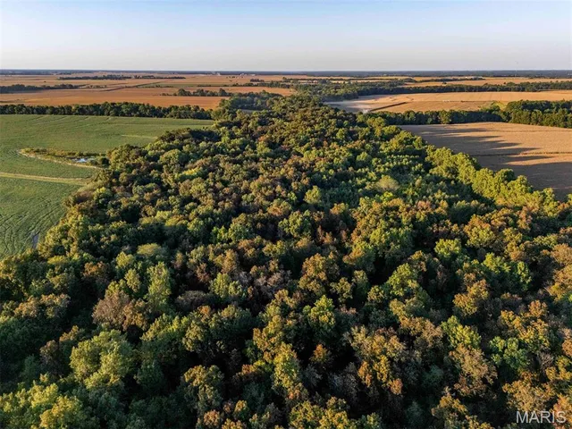 $6,162,722 | 0 Highway V Highway, Vandalia, MO 63382