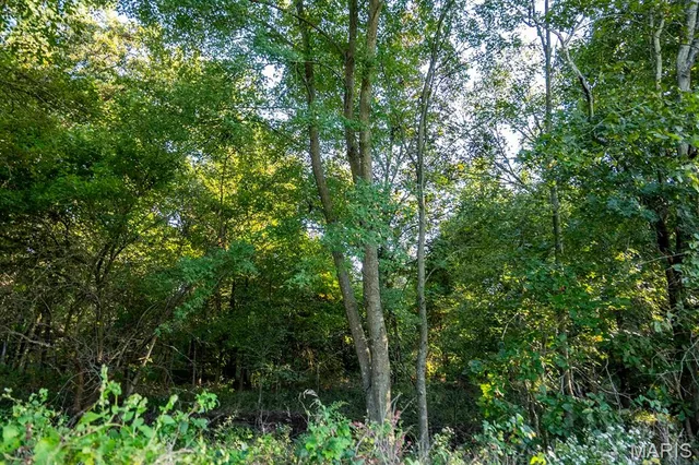 $6,162,722 | 0 Highway V Highway, Vandalia, MO 63382