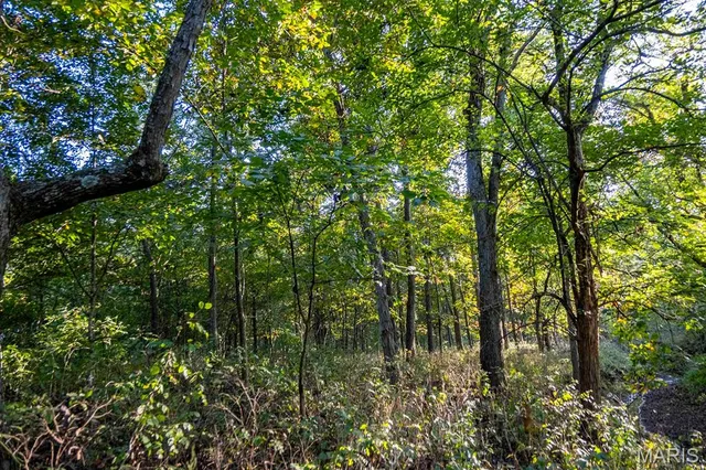 $6,162,722 | 0 Highway V Highway, Vandalia, MO 63382