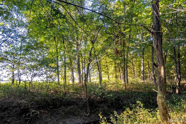 $6,162,722 | 0 Highway V Highway, Vandalia, MO 63382