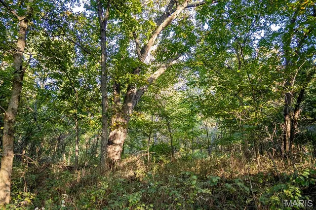 $6,162,722 | 0 Highway V Highway, Vandalia, MO 63382