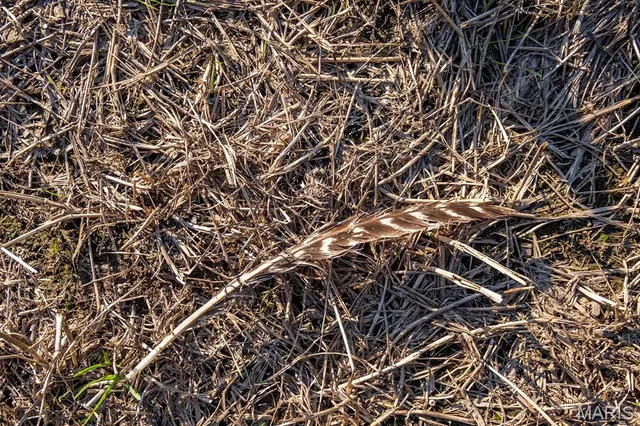 $6,162,722 | 0 Highway V Highway, Vandalia, MO 63382