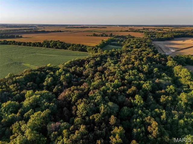 $6,162,722 | 0 Highway V Highway, Vandalia, MO 63382