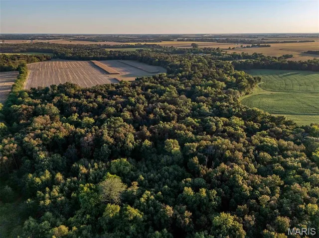 $6,162,722 | 0 Highway V Highway, Vandalia, MO 63382