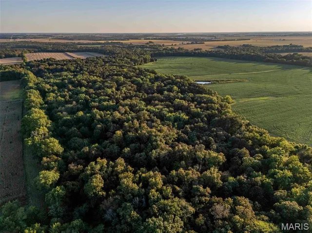 $6,162,722 | 0 Highway V Highway, Vandalia, MO 63382