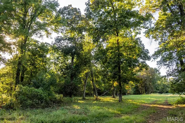 $6,162,722 | 0 Highway V Highway, Vandalia, MO 63382