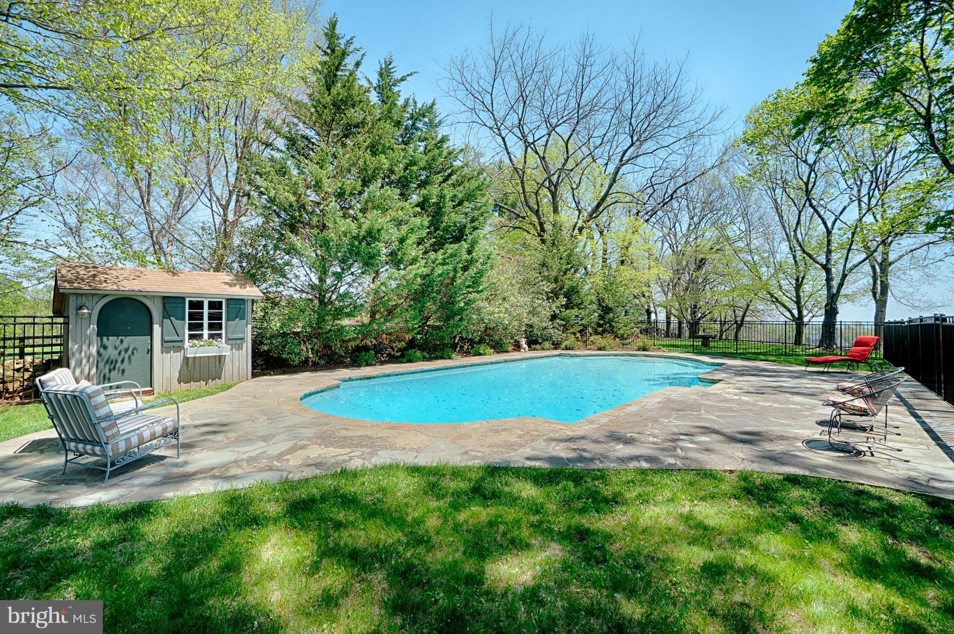 17654 Canby Road Leesburg, VA 20175 - Photo 29 of 29 Pool