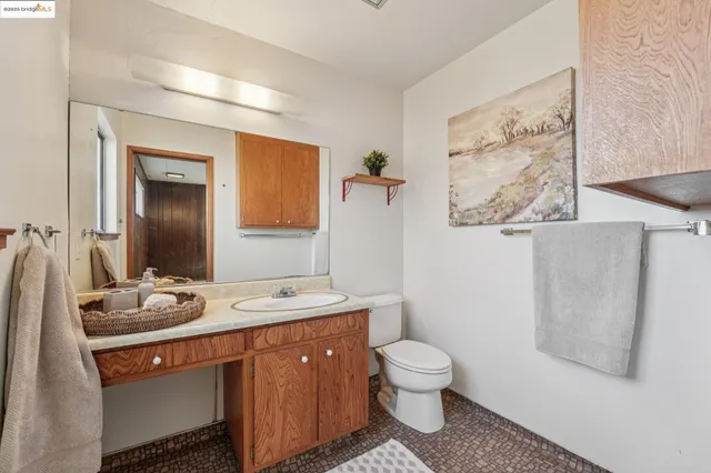 a living room with furniture a window and a potted plant