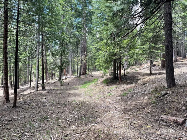 $41,900 | 37 Iroquois Drive, Arnold, CA 95223
