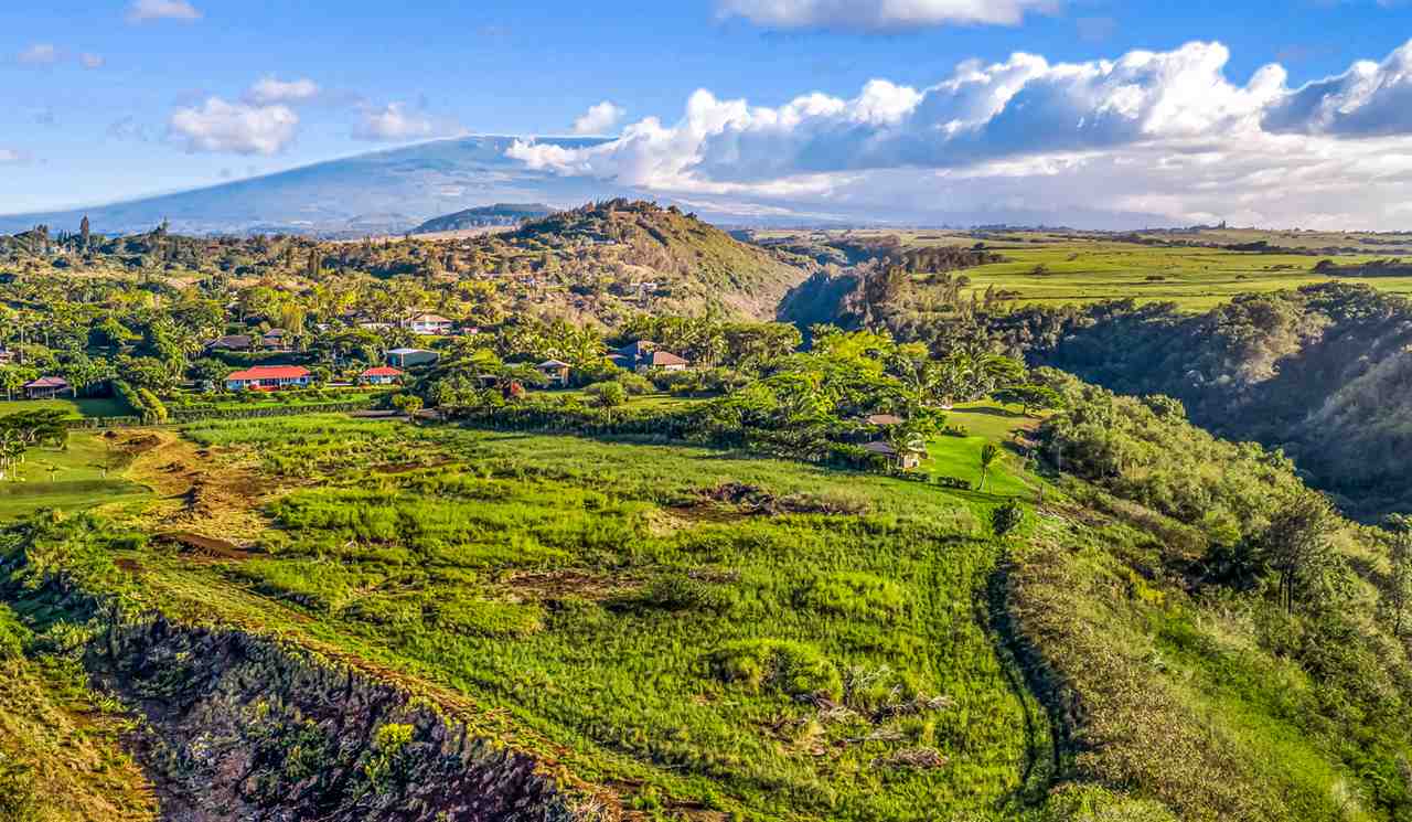 0 Papio Way Haiku, HI 96708 - Photo 11 of 12 a view of a garden