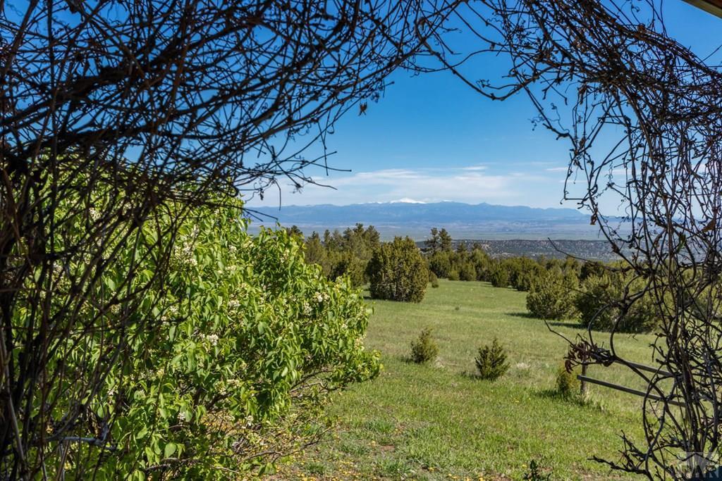8470 Savage Road Beulah, CO 81023 - Photo 11 of 29 Gallery Image 11