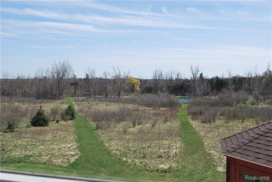 5365 Hollenbeck Road Columbiaville, MI 48421 - Photo 43 of 48 Pond view level 2 - Copy.JPG