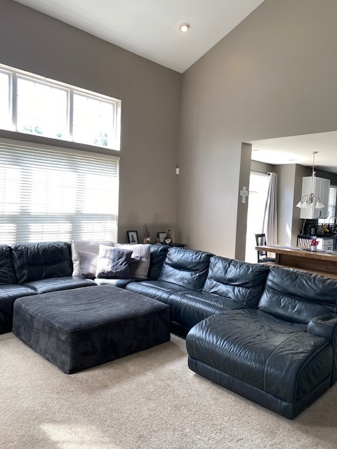 26520 Rustling Birch Way Plainfield, IL 60585 - Photo 18 of 34