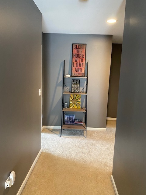 26520 Rustling Birch Way Plainfield, IL 60585 - Photo 25 of 34
