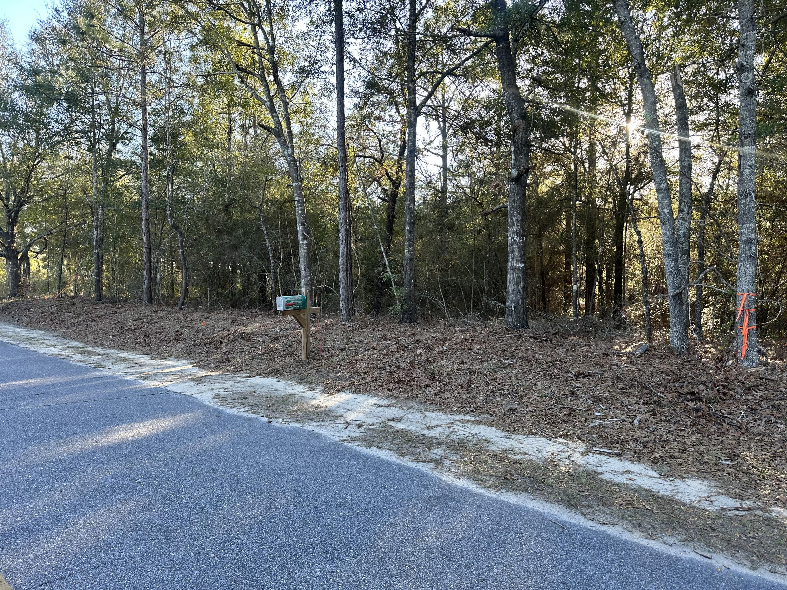 Lot 4 East Renoir Road DeFuniak Springs, FL 32433 - Photo 4 of 5 IMG_9447