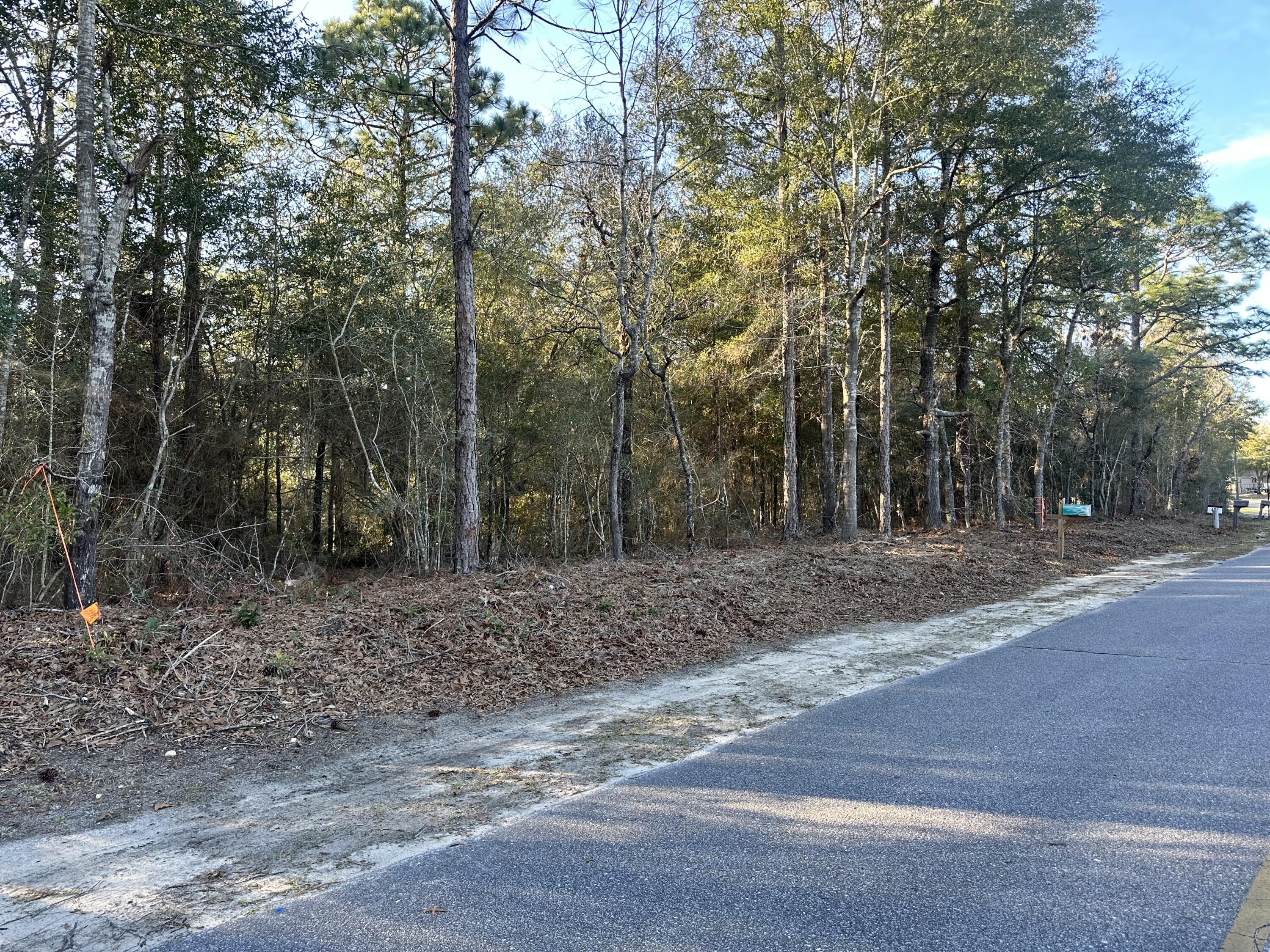 Lot 4 East Renoir Road DeFuniak Springs, FL 32433 - Photo 5 of 5 IMG_9446