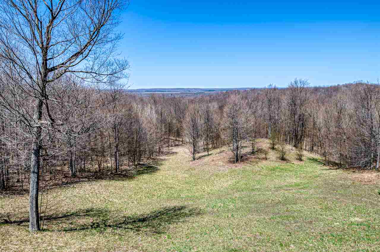 20120 Stanton Road Thompsonville, MI 49683 - Photo 1 of 40 1874095.JPG