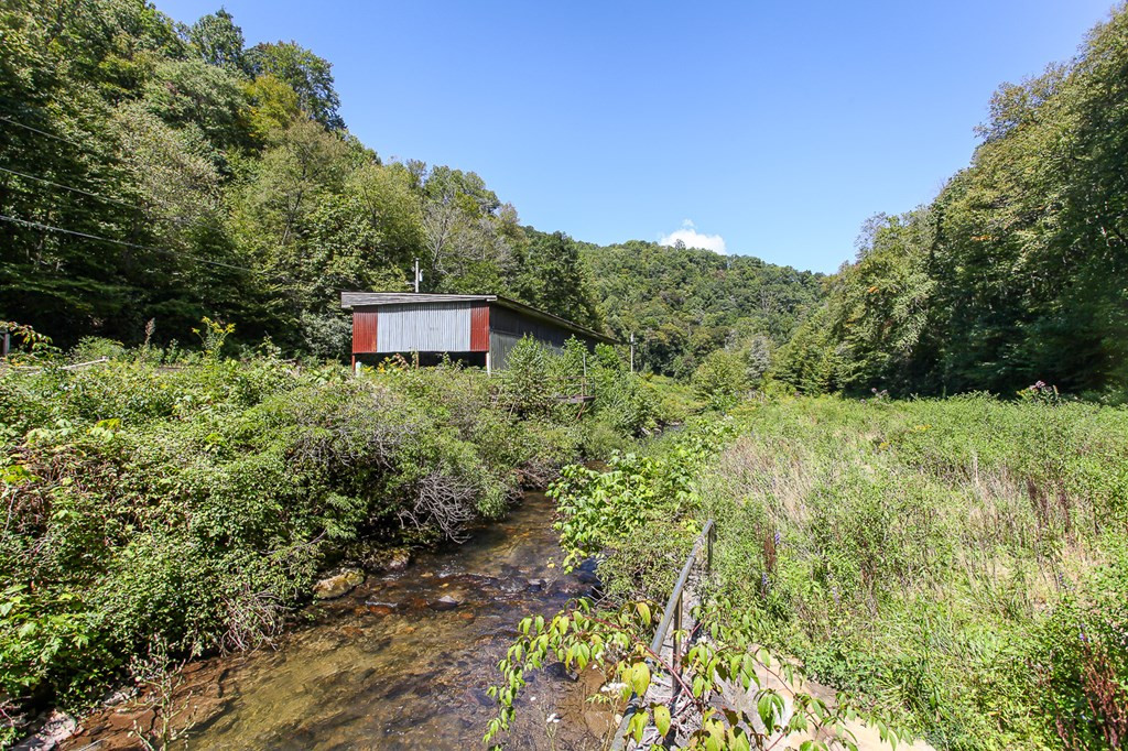 9765 Little Snowbird Road Robbinsville, NC 28771 - Photo 12 of 34