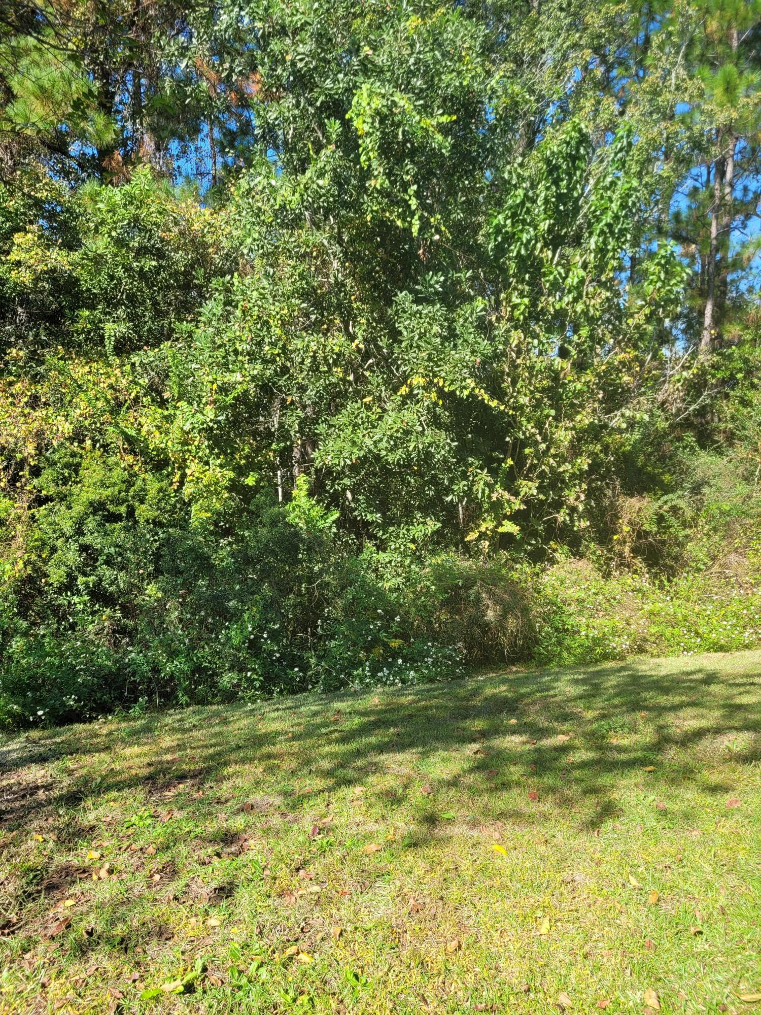 537 Wingspan Way Crestview, FL 32536 - Photo 29 of 34 a view of a yard
