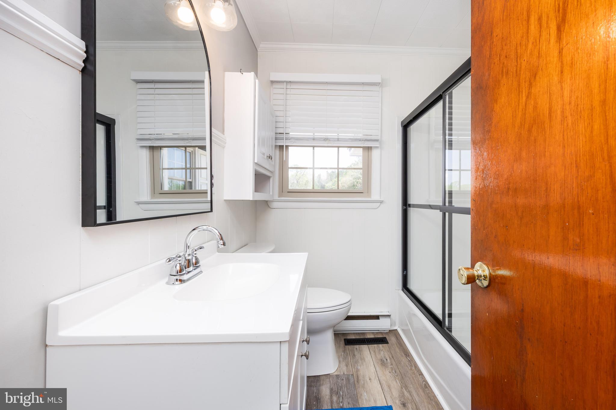36479 Purnell Crossing Road Willards, MD 21874 - Photo 39 of 65 a bathroom with a sink a toilet and a mirror