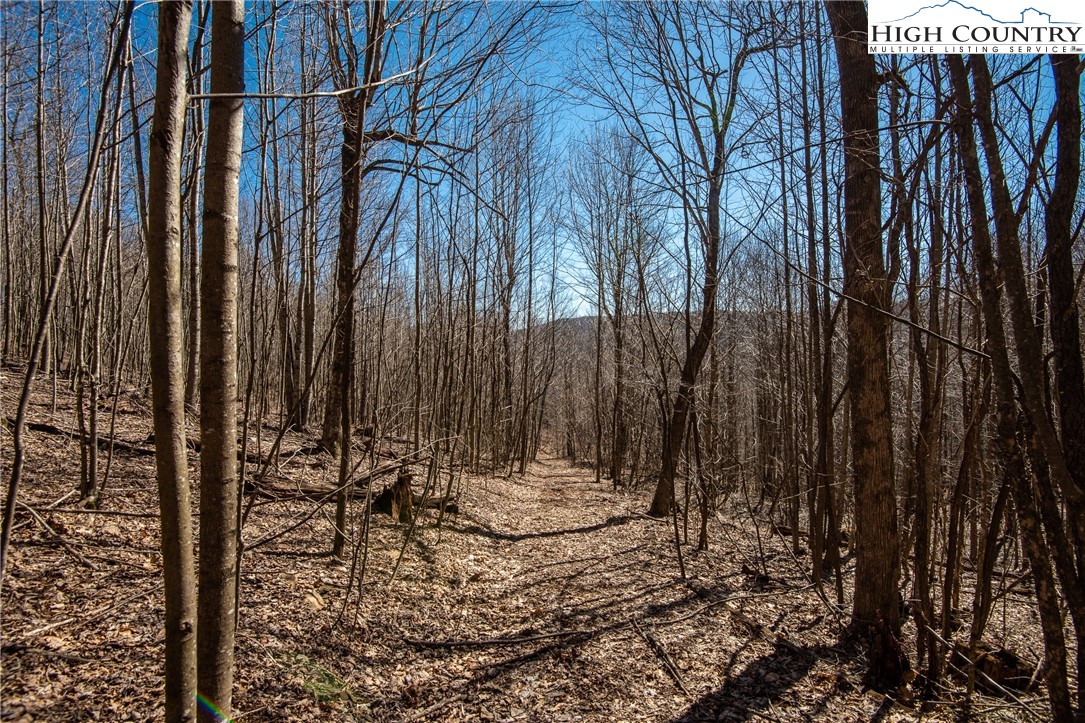 T-8-t-9 Jesse Brown Road Boone, NC 28607 - Photo 16 of 18 a view of outdoor space