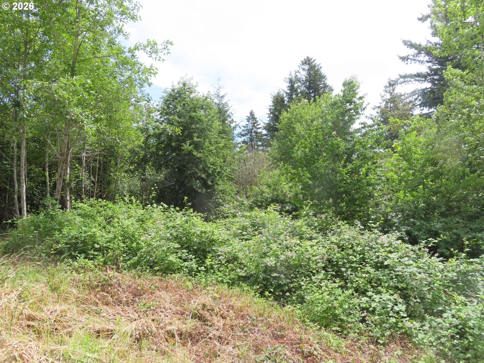 Coleman Road Mossyrock, WA 98564 - Photo 21 of 22