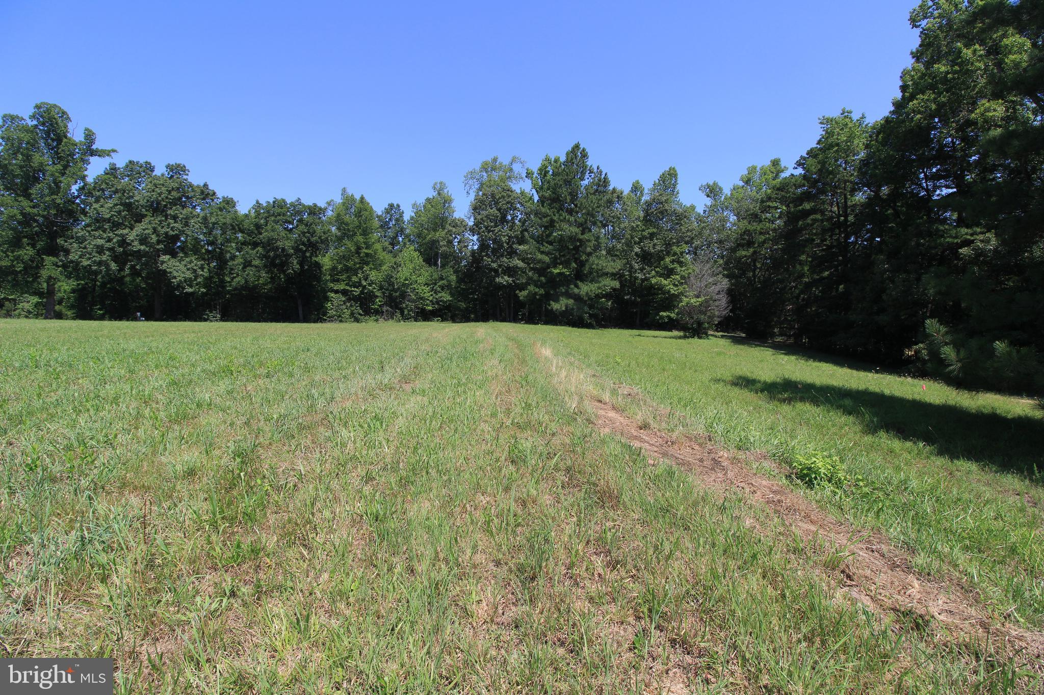 512 Mountain Hall Road Crewe, VA 23930 - Photo 30 of 50