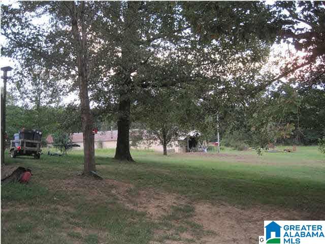 1551 Hagood Mtn Road Morris, AL 35116 - Photo 18 of 32