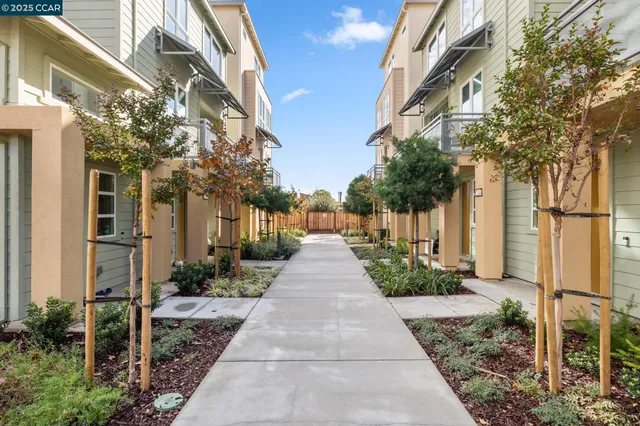 a view of a pathway with a pathway