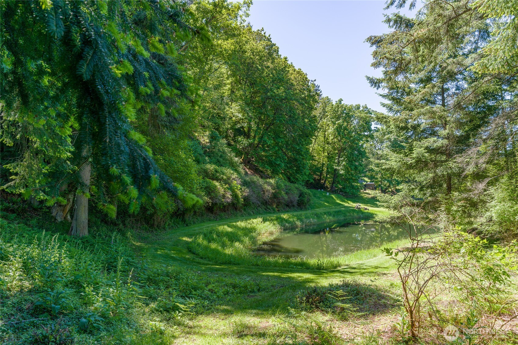463 Wright Road Orcas Island, WA 98245 - Photo 16 of 40 a lush green forest with lots of trees